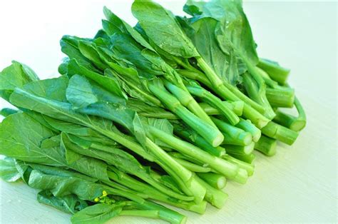 芥兰菜的最佳播种时间，