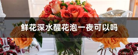 鲜花深水醒花泡一夜可以吗，原理／效果／注意事项