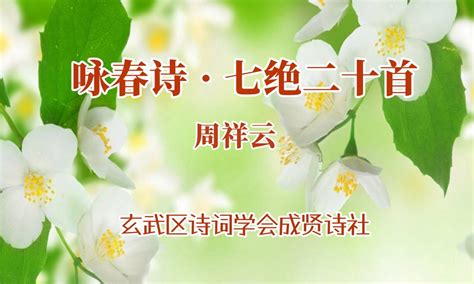 咏梨花七绝二十首（初春梨花／花香扑鼻／花雨飘落）