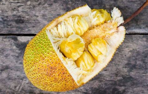 菠萝蜜的性味归经，功效