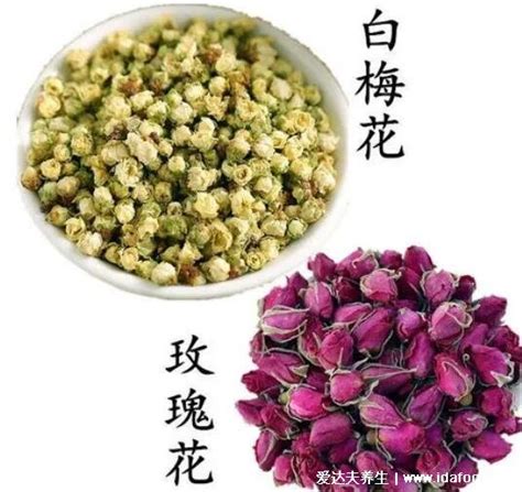 白梅花和玫瑰花能治结节