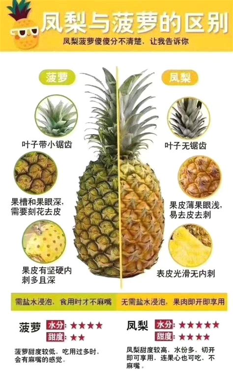 凤梨与菠萝的区别（外表／口感／用途）