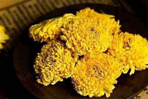 菊花茶哪里的产地最好，菊花茶产地的重要性／云南产地／安徽产地