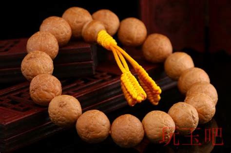 10万元以上的凤眼菩提，起