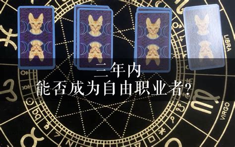 七叶树洞塔罗占卜，基本原理、在生活中的应用、总结