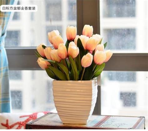 郁金香放客厅风水好吗，
