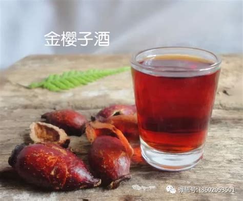 金樱子和什么泡酒最好（