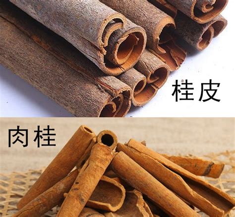 肉桂和桂皮有区别吗（与区别、用途、来源）